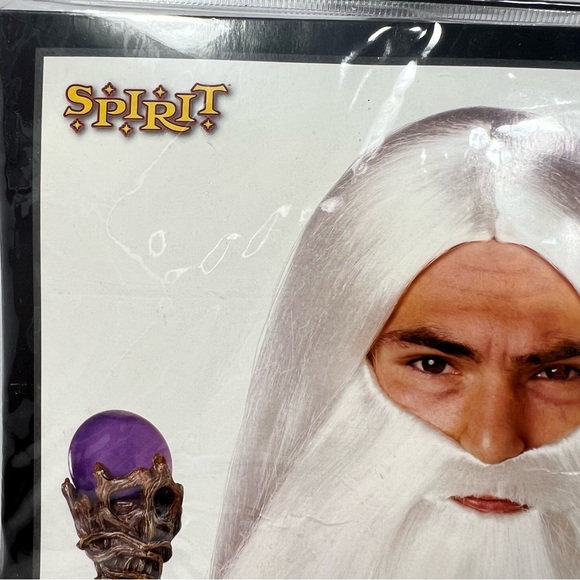 Merin Wizard Beard & Wig Ages 14 Plus - Picture 2 of 5